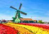 Các điểm đến hấp dẫn du khách khi đặt chân tới Hà Lan