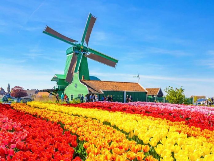 Các điểm đến hấp dẫn du khách khi đặt chân tới Hà Lan