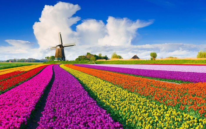 Hà Lan- một quốc gia đáng để đặt chân tới